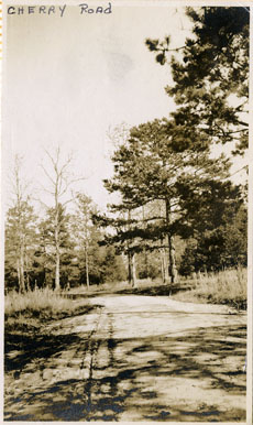 Photograph of Cherry Road in the early 1910s near where Richardson Hall and Wofford Hall are currently located .